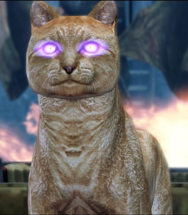 Kitty.jpg.jpeg