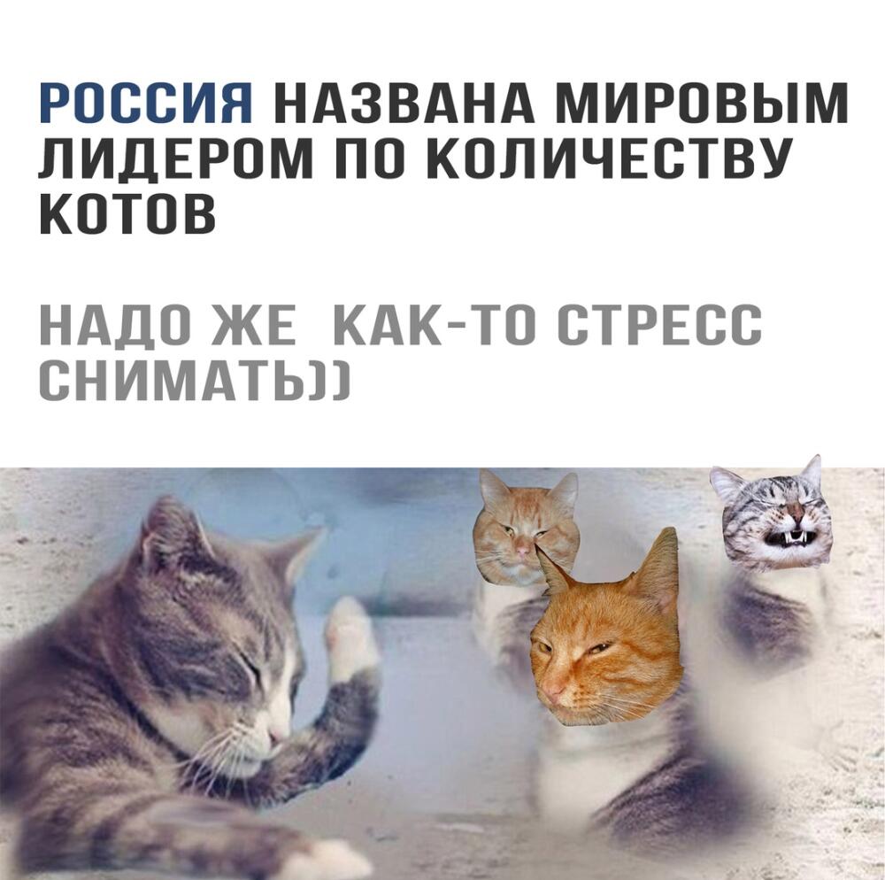 Kj6abhlsk10.jpg.jpeg