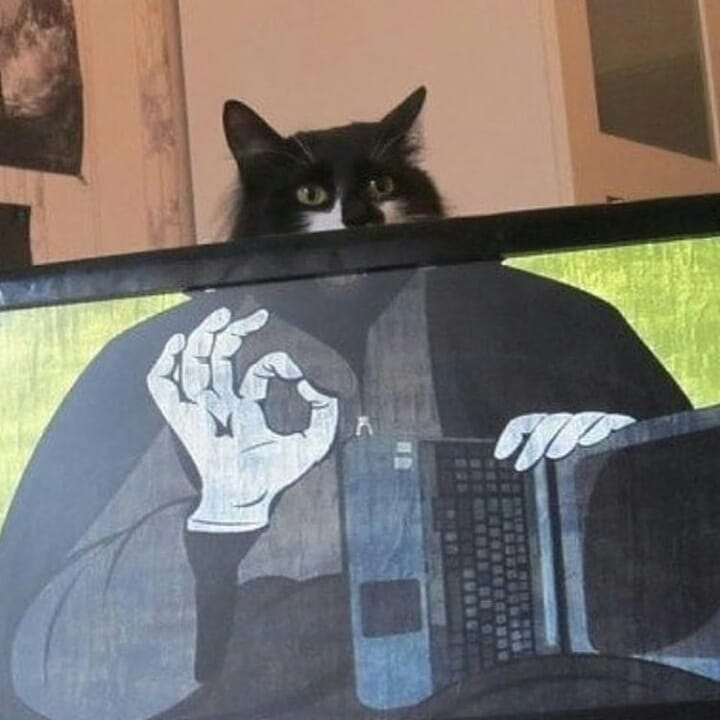 %D0%BA%D0%BE%D1%82%D1%8D-5259196.jpg.jpeg