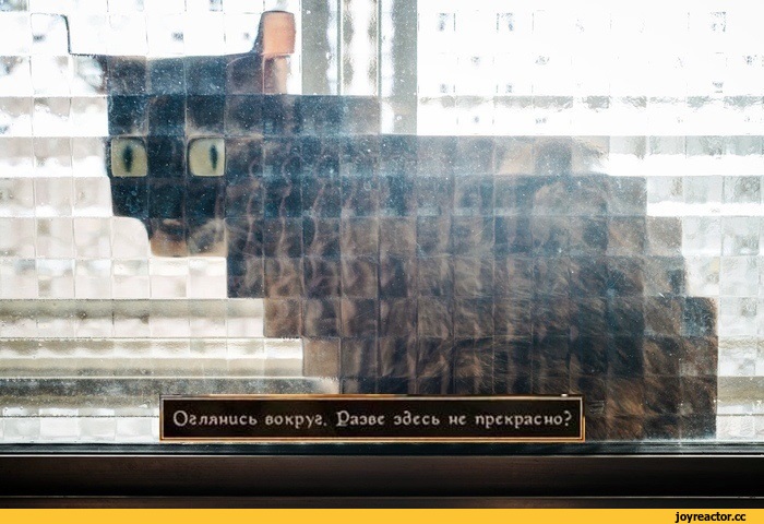 %D0%BA%D0%BE%D1%82%D1%8D-%D0%BF%D0%B8%D0%BA%D1%81%D0%B5%D0%BB%D0%B8-%D0%BF%D0%B8%D0%BA%D1%81%D0%B5%D0%BB%D1%8C%D0%BD%D1%8B%D0%B9.jpeg