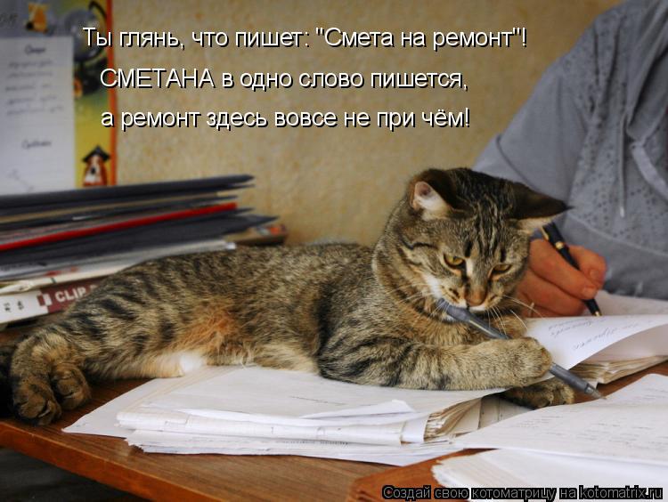 kotomatritsa_7.jpg.jpeg