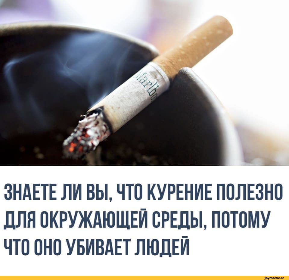 %D0%BB%D1%8E%D0%B1%D0%BE%D0%BF%D1%8B%D1%82%D0%BD%D1%8B%D0%B9-%D1%84%D0%B0%D0%BA%D1%82-%D0%BF%D0%B5%D1%81%D0%BE%D1%87%D0%BD%D0%B8.jpeg