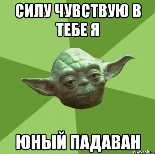 master-joda_23693858_orig_.jpg.jpeg