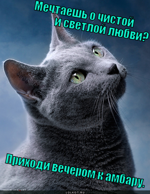 mechtayesh-o-chistoy-i-svetloy-lyubvi-prihodi-vecherom-k-ambaru._1341841237.jpg.jpeg