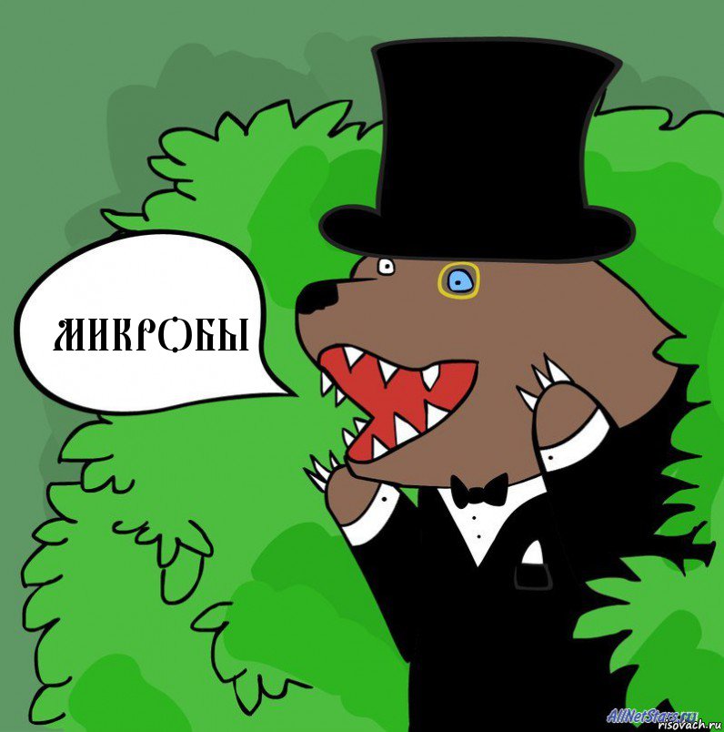 medved-v-ochkah_97916730_orig_.jpg.jpeg