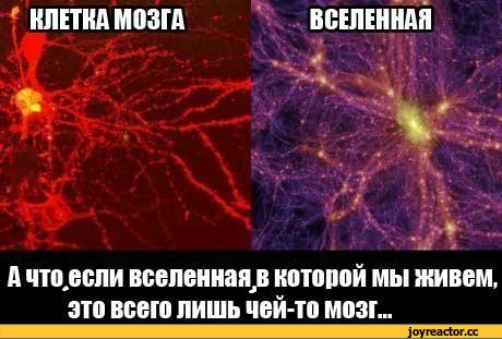 %D0%BC%D0%BE%D0%B7%D0%B3-%D0%B2%D1%81%D0%B5%D0%BB%D0%B5%D0%BD%D0%BD%D0%B0%D1%8F-817977.jpeg