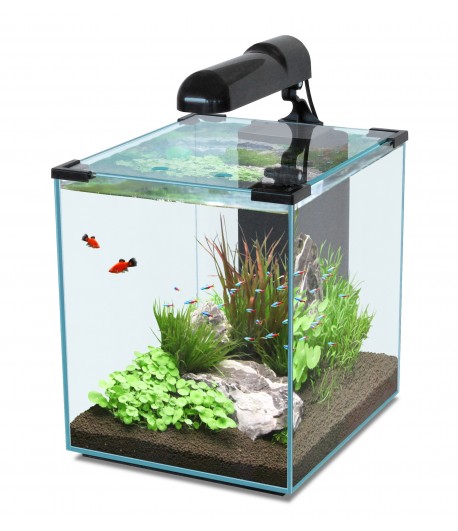 nano-akvarium-aquatlantis-nanocubic-40.jpg.jpeg