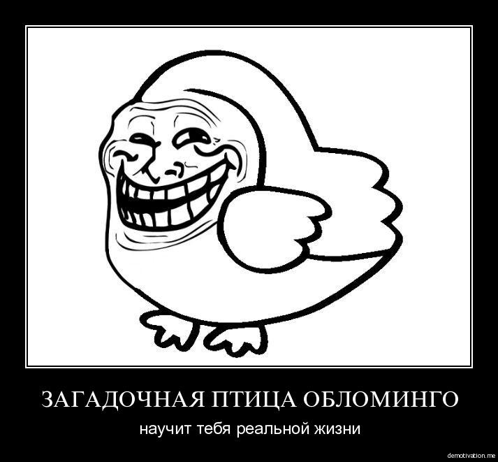 oht-jGDbIzk.jpg.jpeg