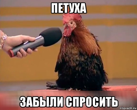 petuh_93534964_orig_.jpg.jpeg