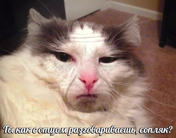 PGV-cdmTNLk.jpg.jpeg