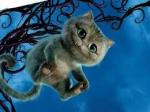 Branven