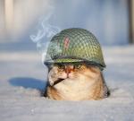 НИКОЛАЙ12343