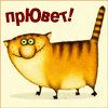 Koser