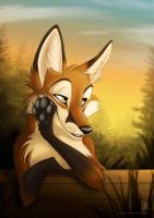 Hunfry Wolf