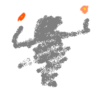 Nonim