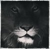Leonilla