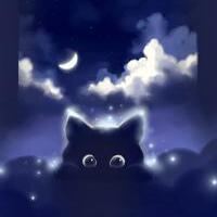ForestCat