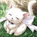 Angel-Tiger