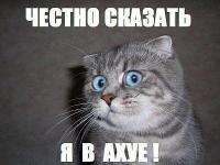 4udo-bober