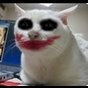 vlod47