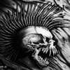 punk