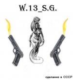 W13_SG