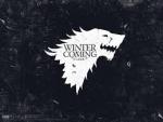 stark_wolf