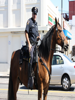 Horse Police