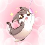 TheRaccoon