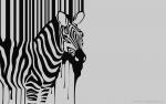 iZeBra