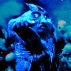 svarrog