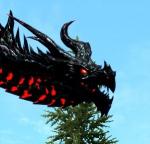 TevaRaven