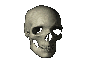 necss