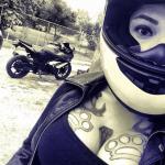 steff_master