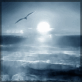 Wanderer278