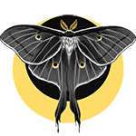 Prince-Moth