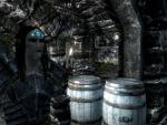 Groi