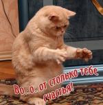 xoxtu