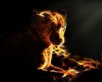 Mr.Cheetah