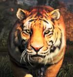 Shanath