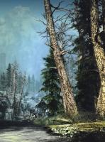 GarryHogr
