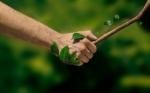 Fenix35