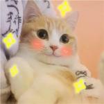 DiKote