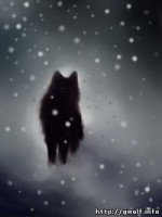 LadyDark