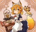 i1fox