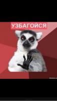 Узбагойся