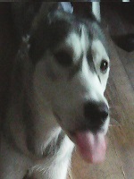 Makas02