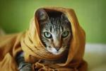 M'aiq the Liar