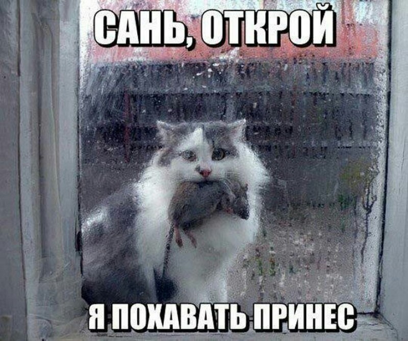 picsart-04-28-084320.jpg.jpeg