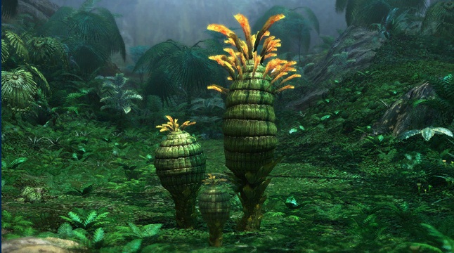 Pineapple_Plant.jpg.jpeg